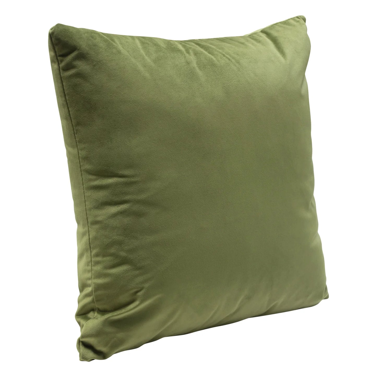 Velvet Throw Pillow, sage green