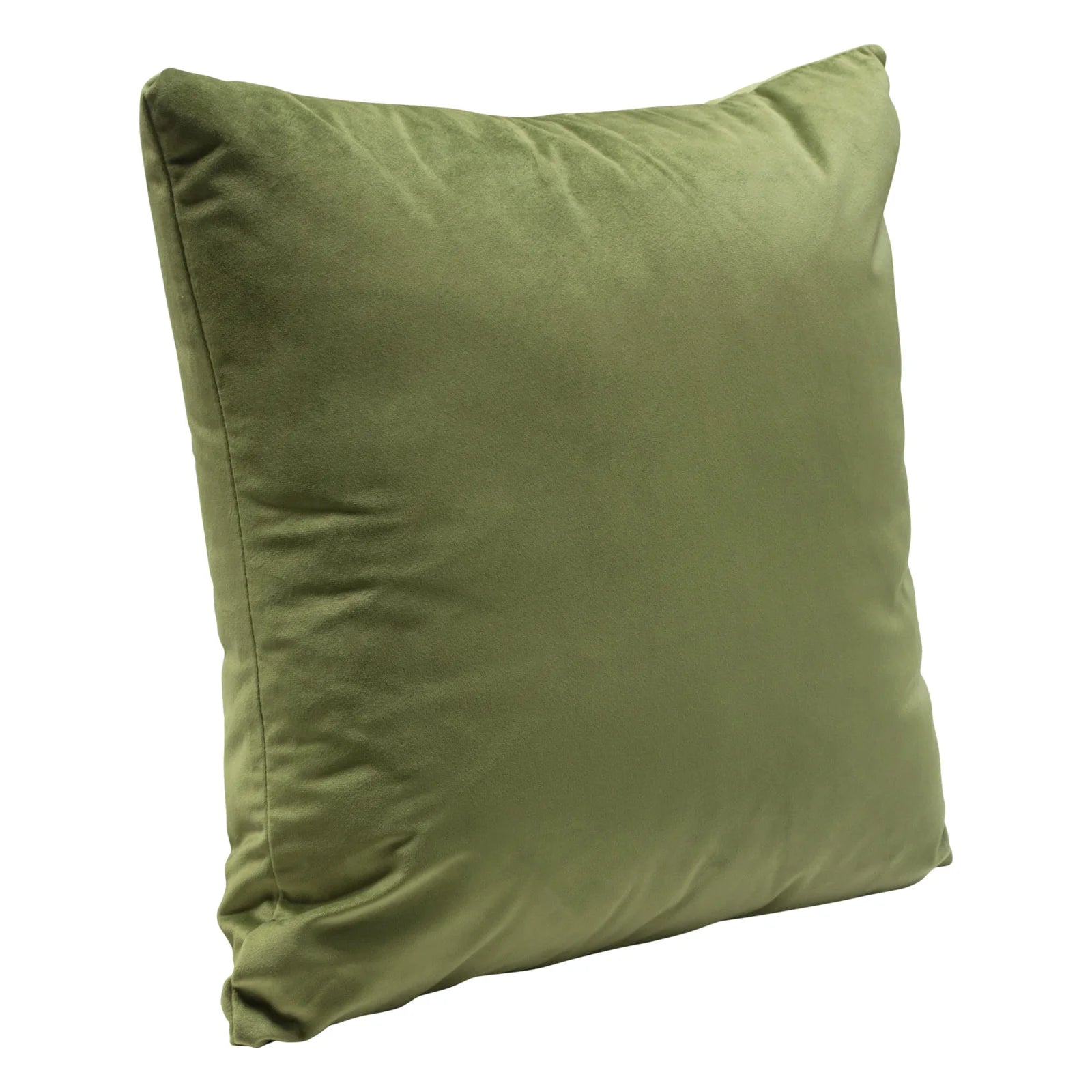 Velvet Throw Pillow, sage green